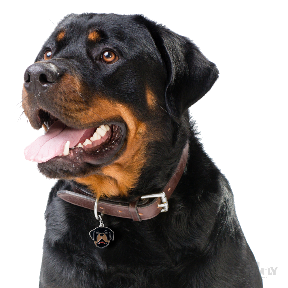 Juguetes discount para rottweiler